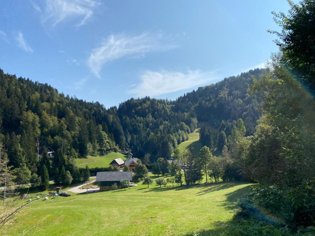 Apartma Jure Zgornje Gorje 外观 照片