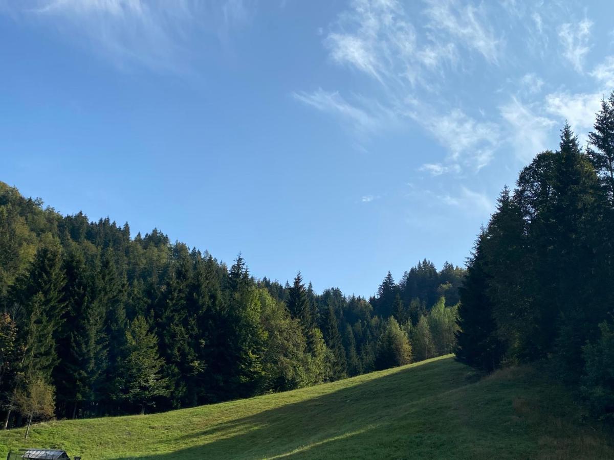 Apartma Jure Zgornje Gorje 外观 照片