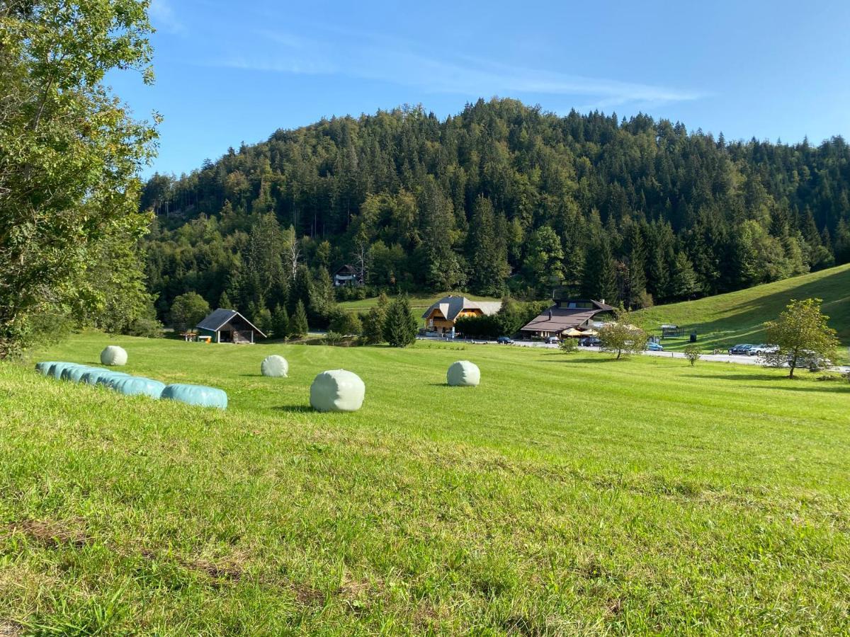 Apartma Jure Zgornje Gorje 外观 照片