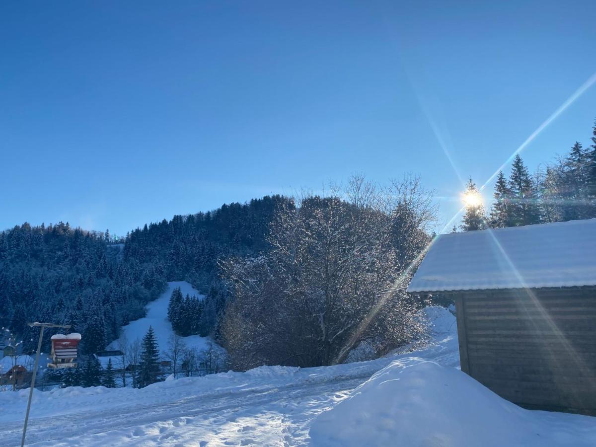 Apartma Jure Zgornje Gorje 外观 照片